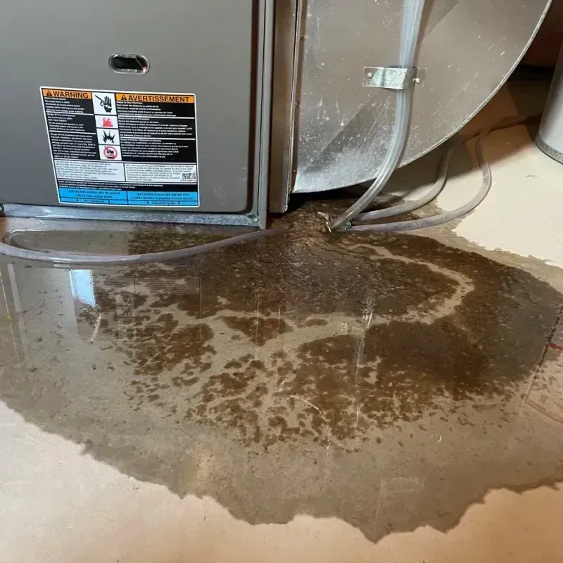 Appliance Leak Cleanup in Santa Venetia, CA